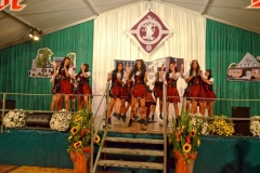 Schützenfest 2013 Vereine