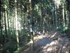 dscf2780