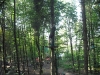 dscf2786