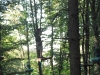dscf2789
