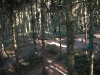 dscf2792