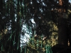 dscf2804