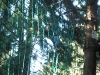 dscf2805