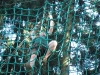 dscf2816