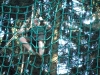dscf2817