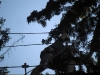 dscf2818