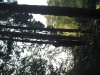 dscf2828